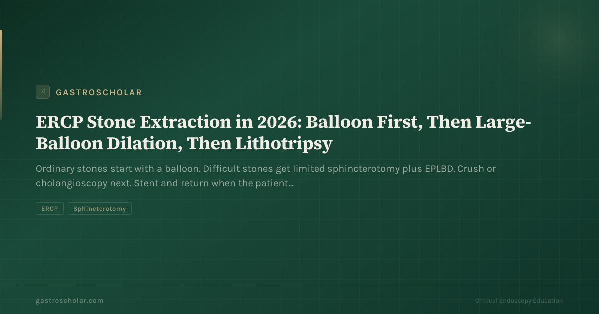 Original GastroScholar summary card for ERCP bile-duct stone extraction. Not an endoscopic photograph.