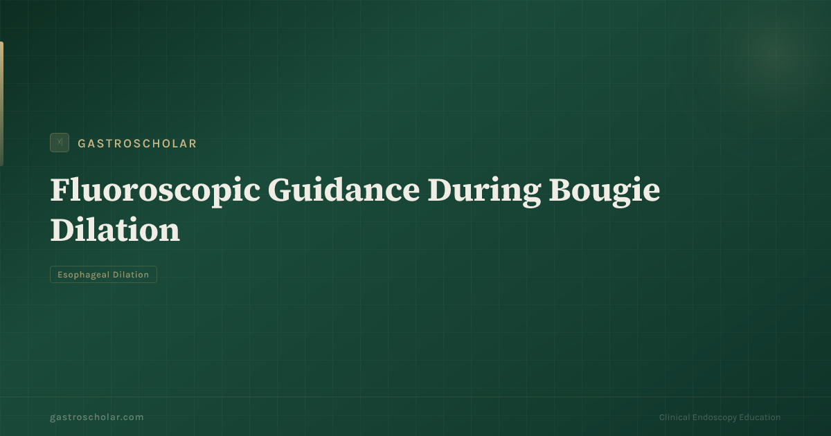 Original GastroScholar summary card for esophageal stricture dilation. Not an endoscopic photograph.