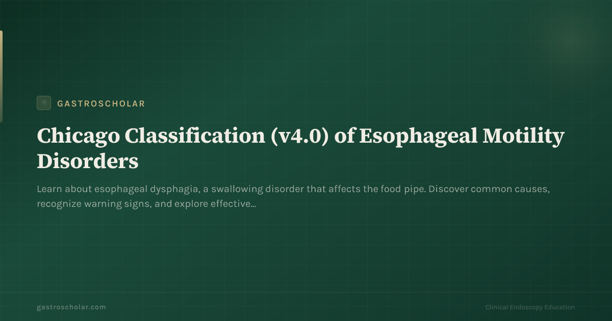 Original GastroScholar summary card for esophageal dysphagia and Chicago 4.0. Not an endoscopic photograph.