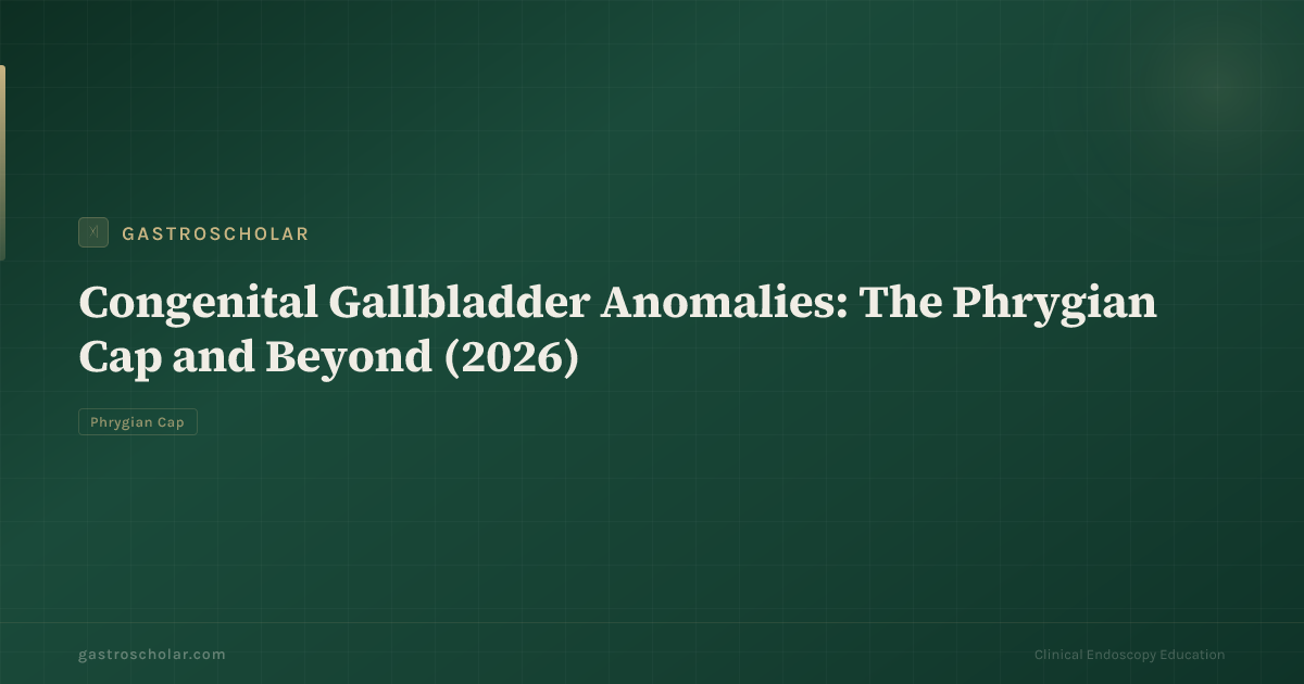 Original GastroScholar summary card for Phrygian cap gallbladder anatomy. Not an ultrasound still.