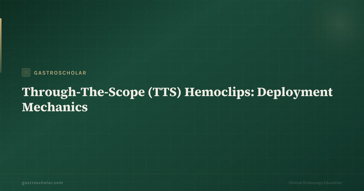 Original GastroScholar summary card for through-the-scope hemoclips. Not an endoscopic photograph.