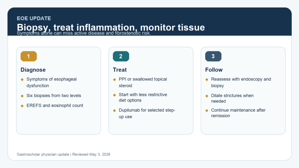 Eosinophilic esophagitis management pathway showing diagnosis, induction therapy, dilation, and monitoring.