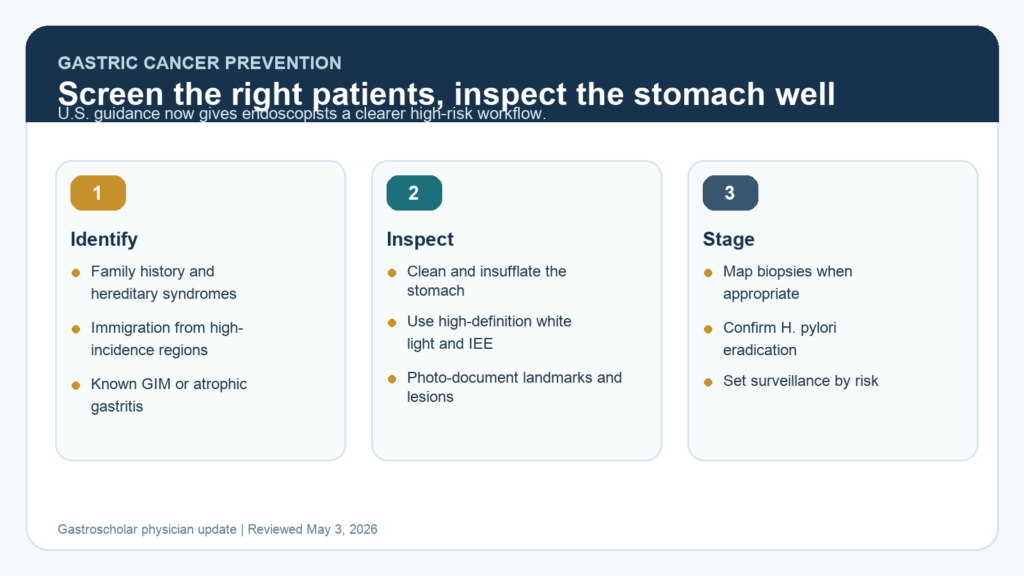 Gastric cancer prevention pathway showing high-risk selection, high-quality EGD, mapping biopsies, and surveillance decisions.