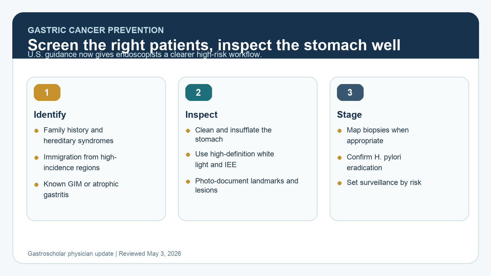 Gastric cancer prevention pathway showing high-risk selection, high-quality EGD, mapping biopsies, and surveillance decisions.