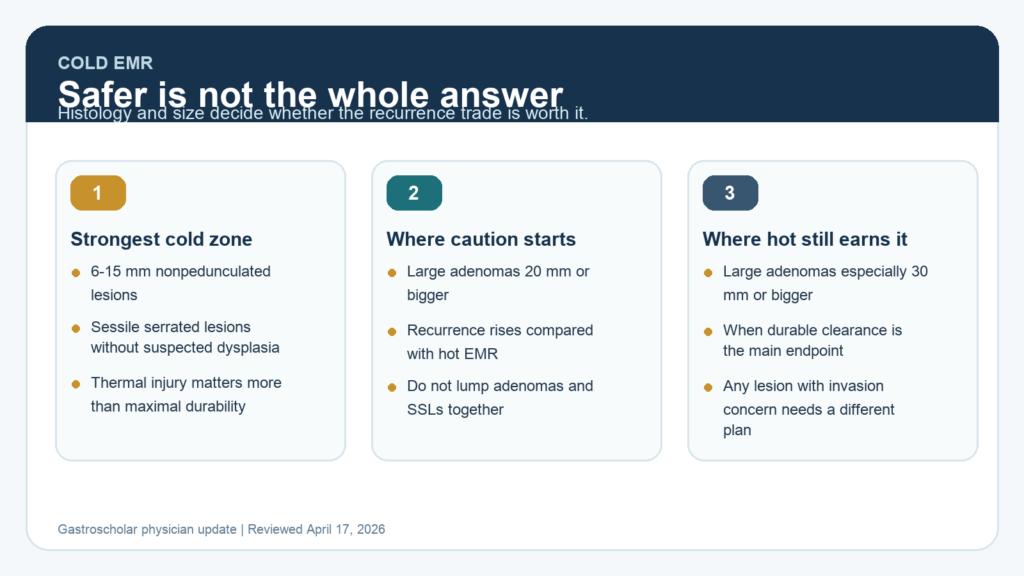 Summary figure showing where cold EMR is well supported, where hot EMR still has a durability advantage, and why lesion histology changes the answer.