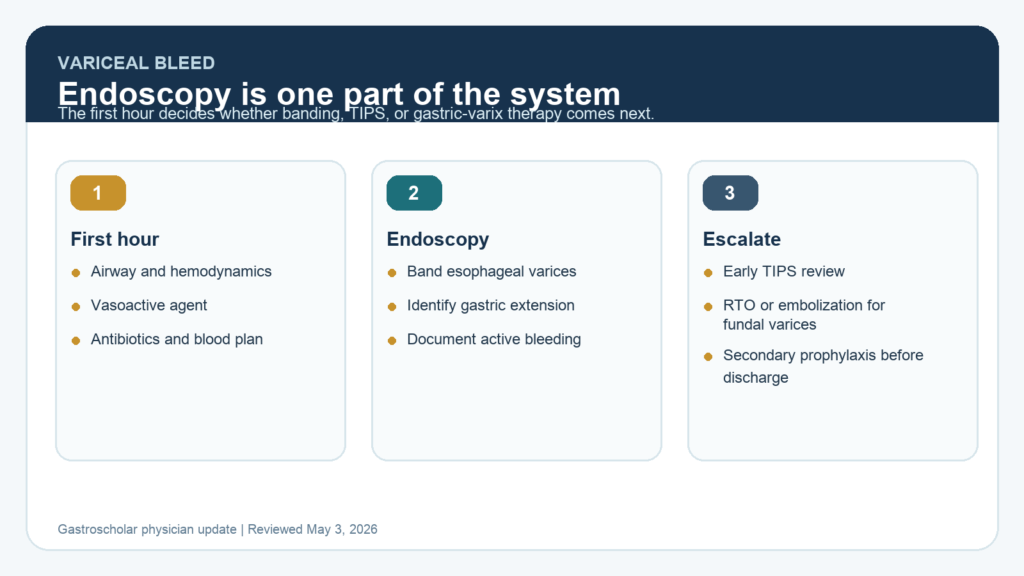 Variceal hemorrhage pathway showing first-hour orders, endoscopy, early TIPS, and gastric varix decisions.
