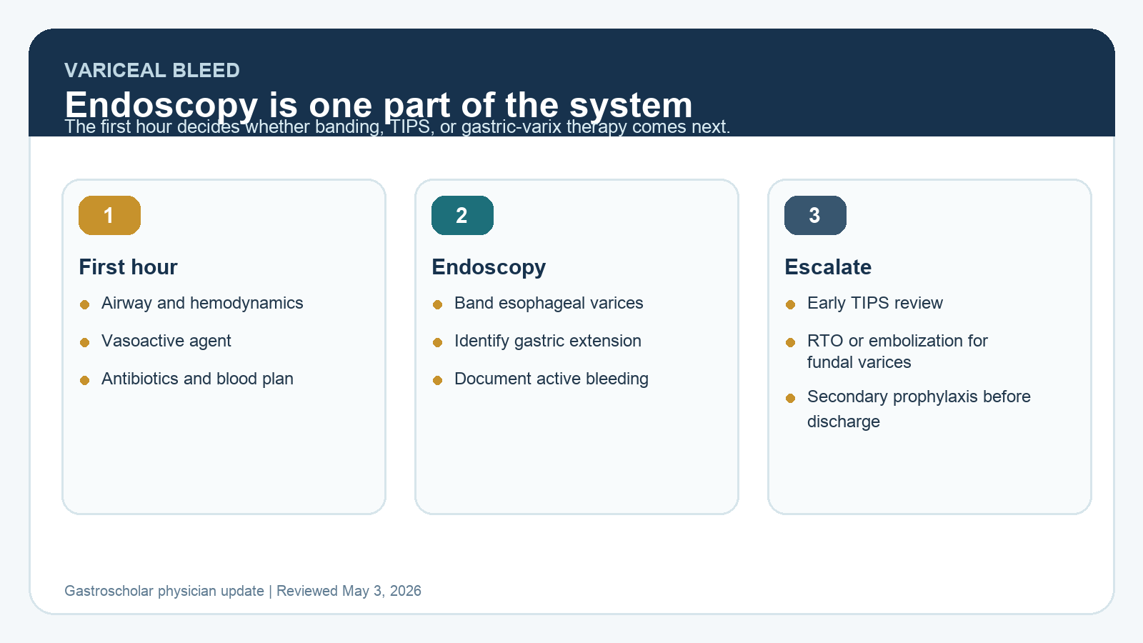 Variceal Hemorrhage in 2026: Triage, Banding, Early TIPS, and Gastric Varix Decisions